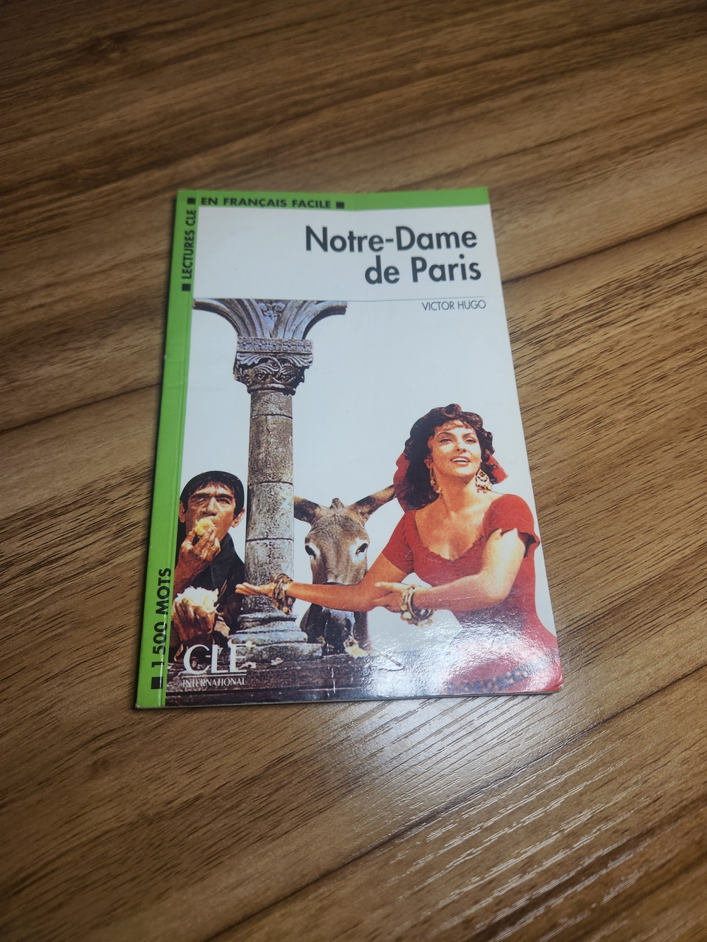 Notre-Dame de Paris Paperback French Practice Book